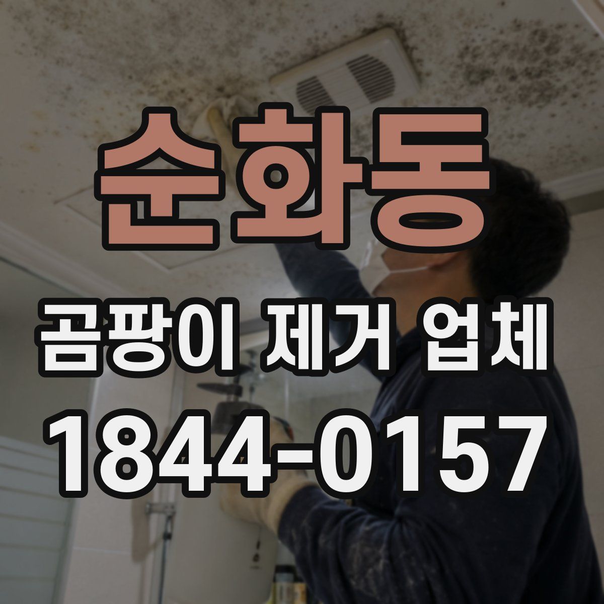 순화동 곰팡이 제거 업체