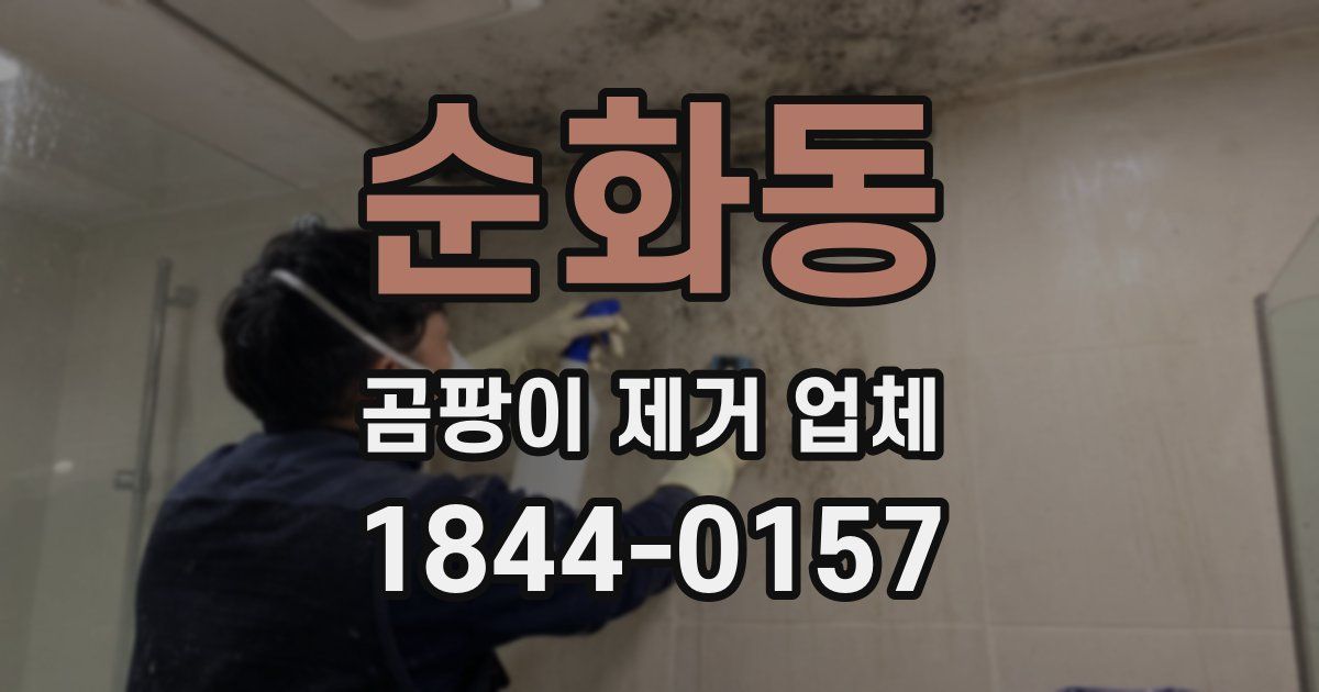 순화동 곰팡이 제거 업체