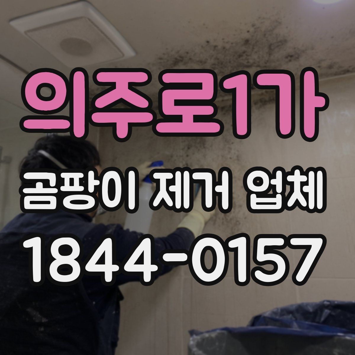 의주로1가 곰팡이 제거 업체 창문 하단 결로가 남기는 흔적 살피기