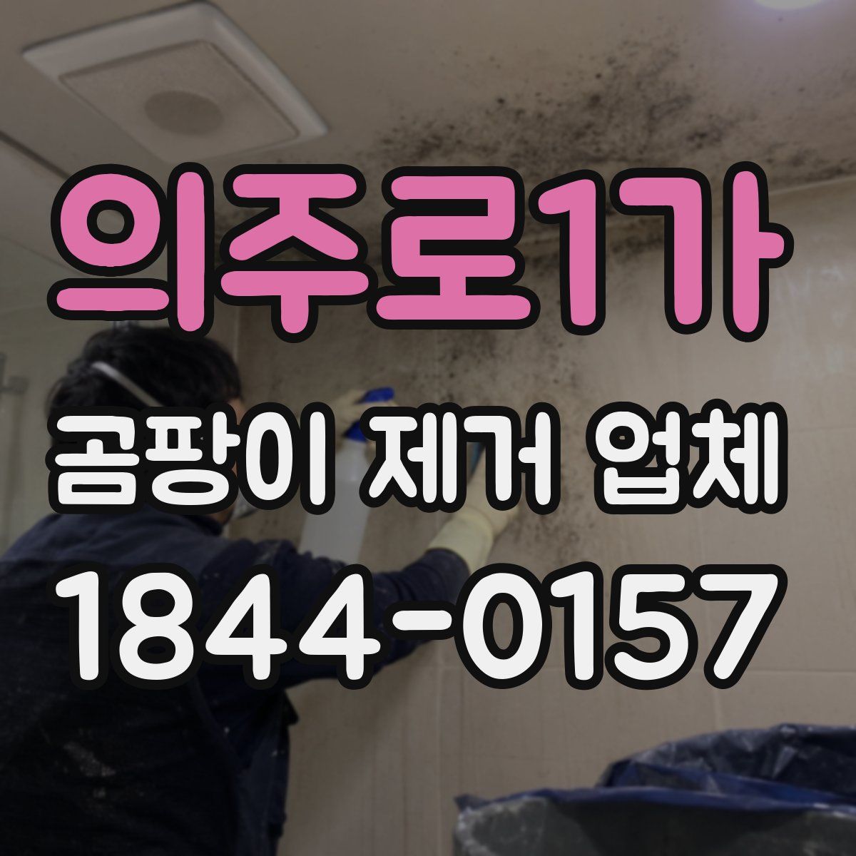 의주로1가 곰팡이 제거 업체