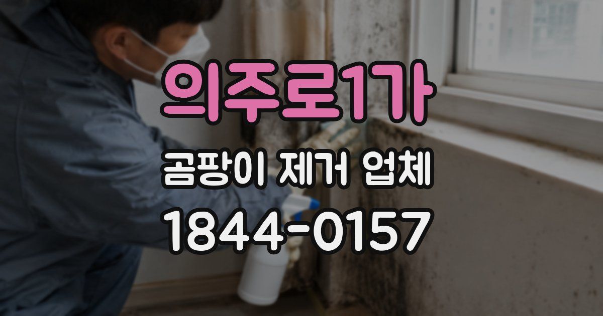 의주로1가 곰팡이 제거 업체