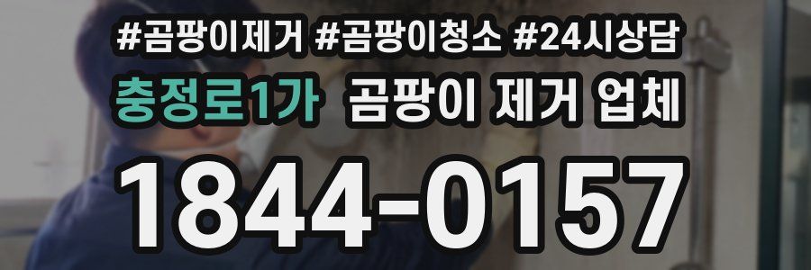 충정로1가 곰팡이 제거 업체