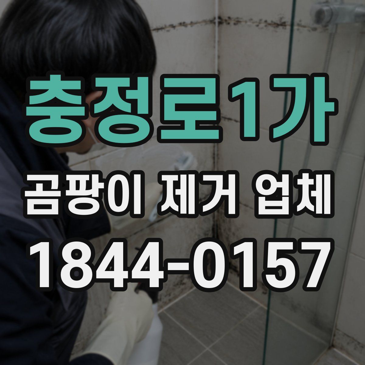 충정로1가 곰팡이 제거 업체