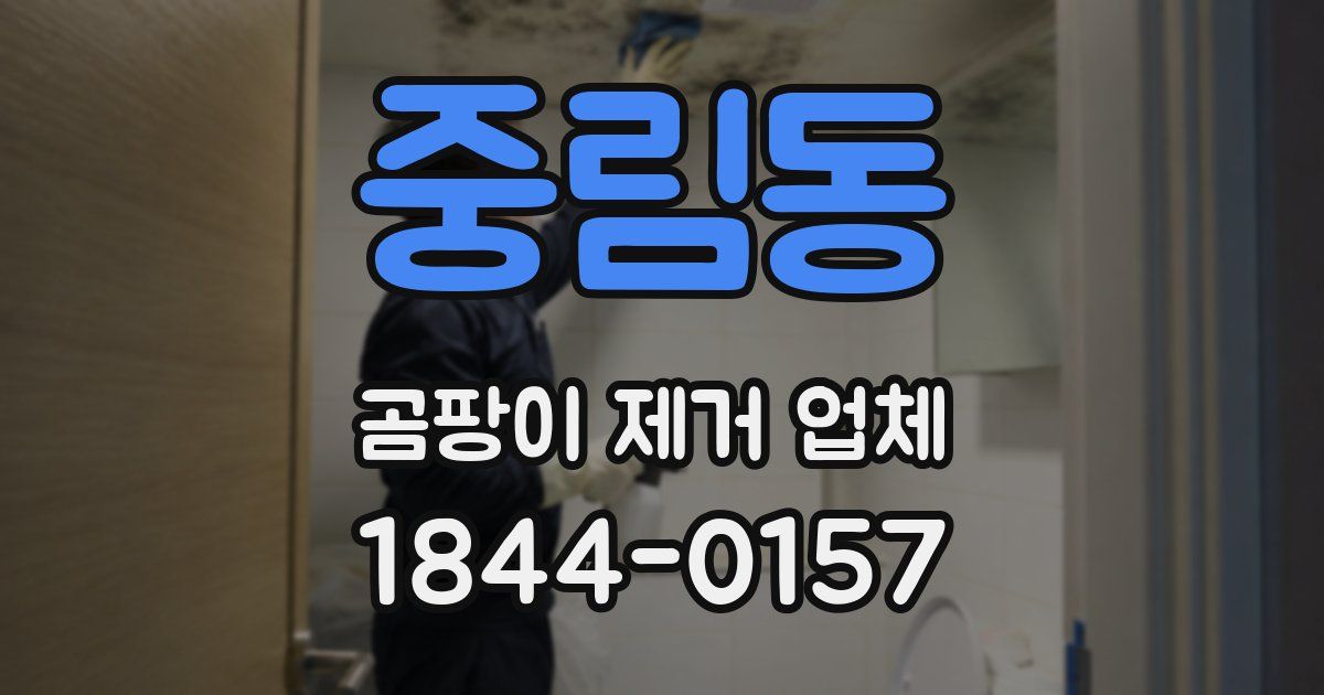 중림동 곰팡이 제거 업체