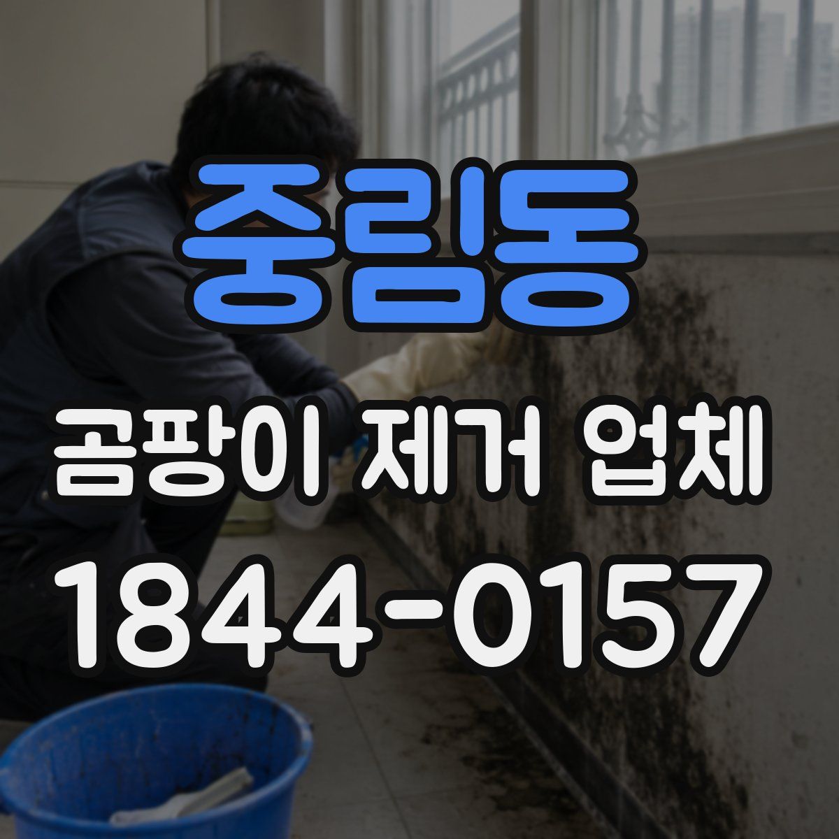 중림동 곰팡이 제거 업체