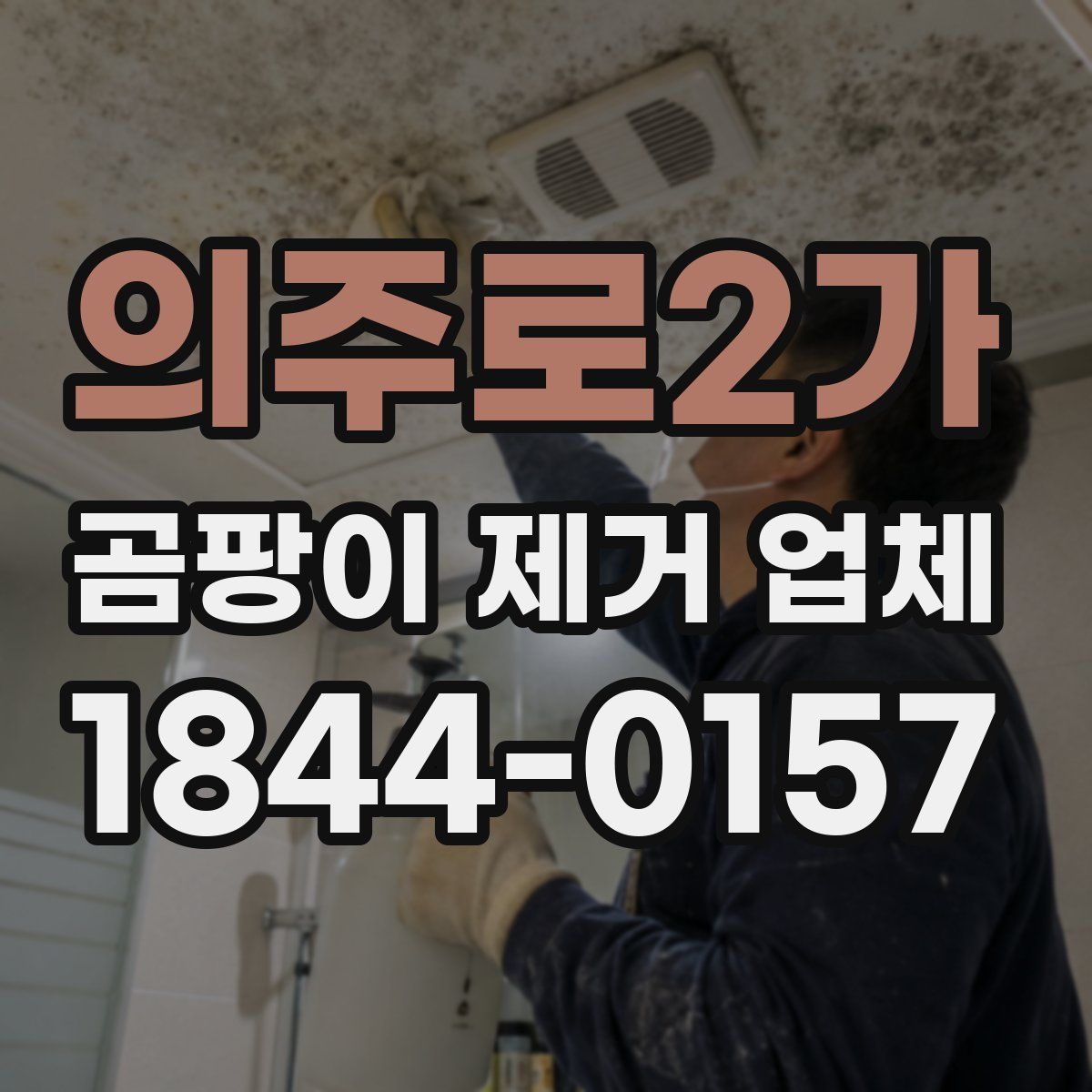 의주로2가 곰팡이 제거 업체
