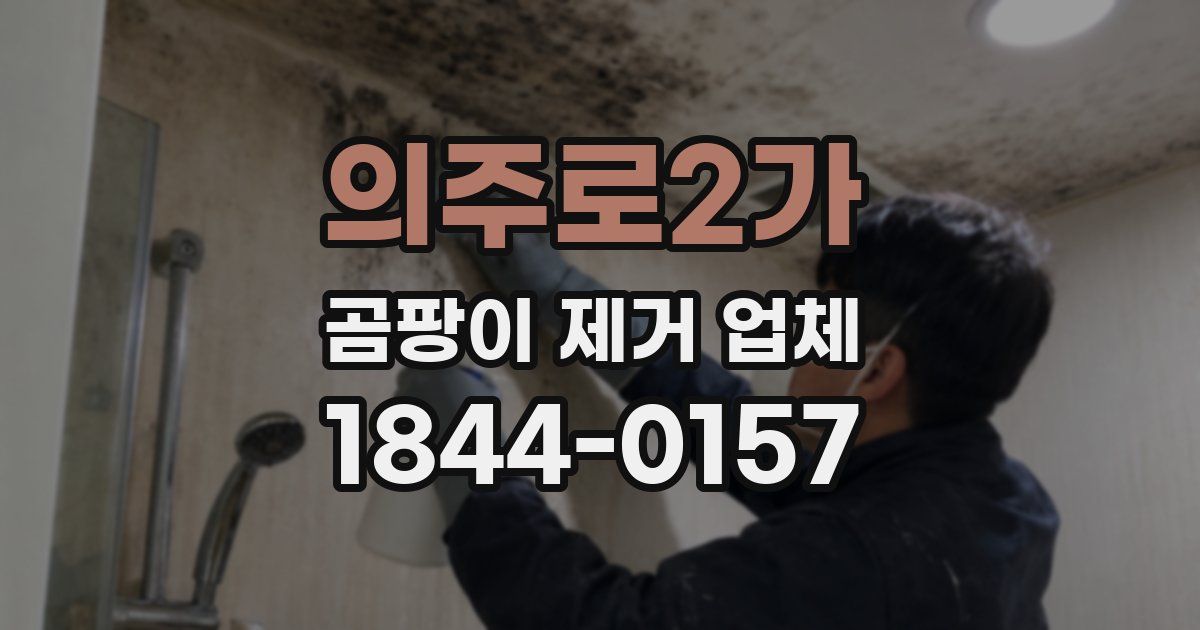 의주로2가 곰팡이 제거 업체