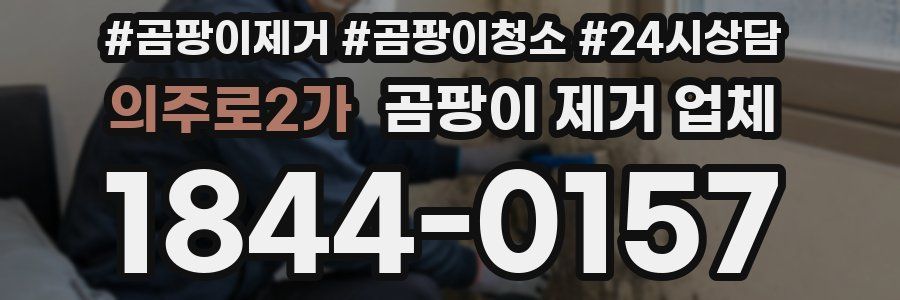 의주로2가 곰팡이 제거 업체