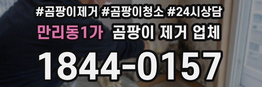 만리동1가 곰팡이 제거 업체
