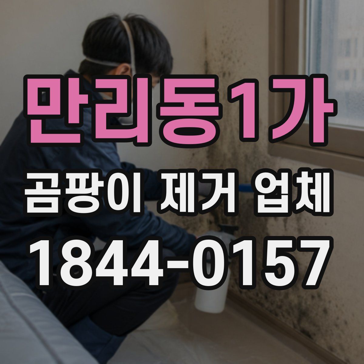만리동1가 곰팡이 제거 업체