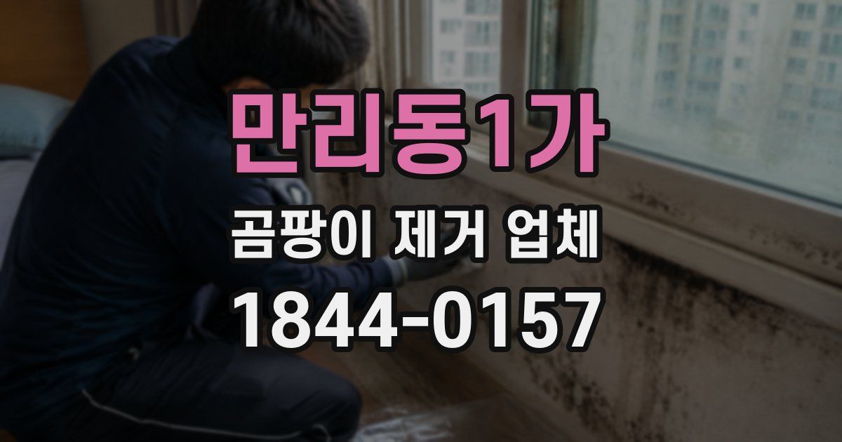 만리동1가 곰팡이 제거 업체