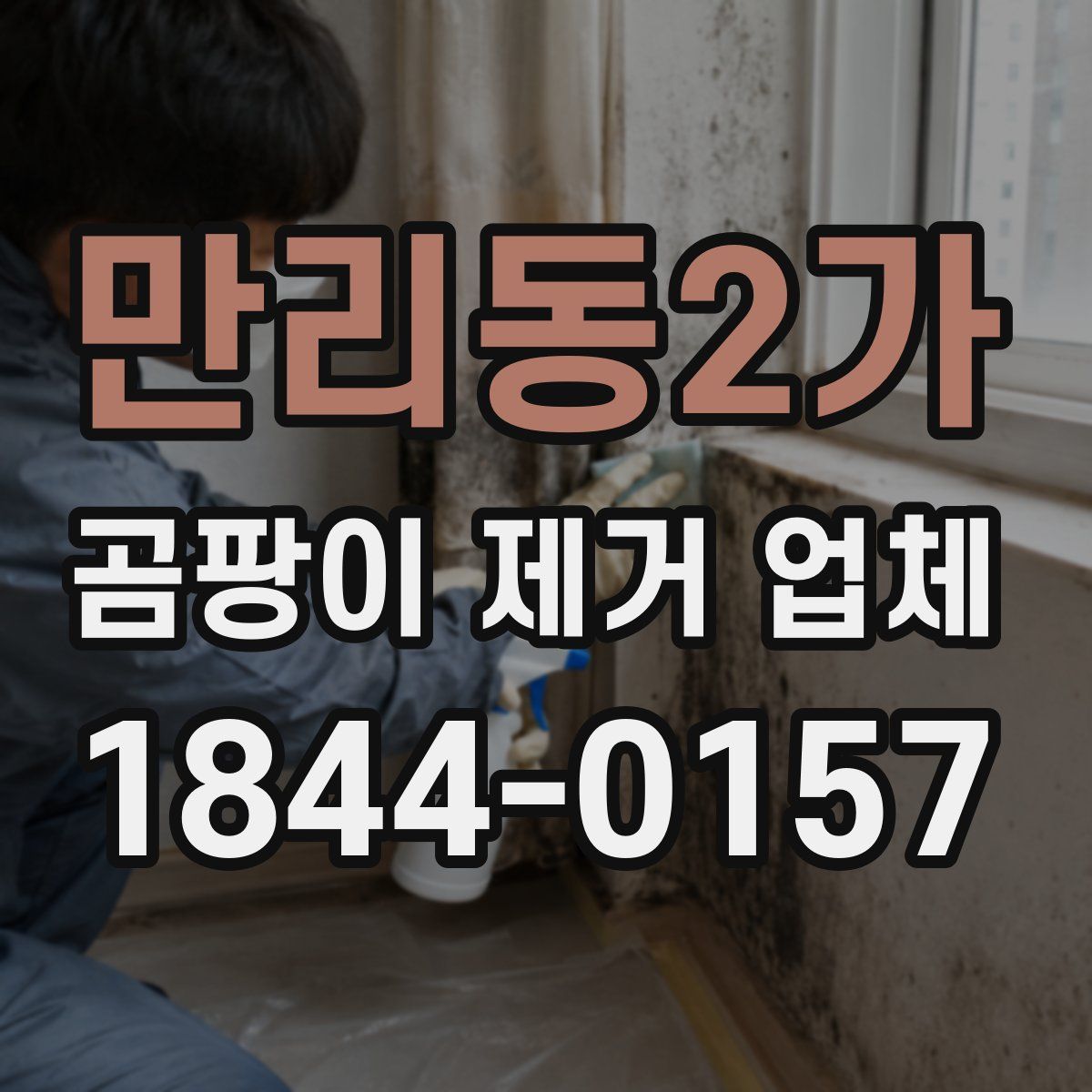 만리동2가 곰팡이 제거 업체