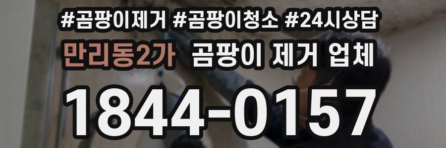 만리동2가 곰팡이 제거 업체