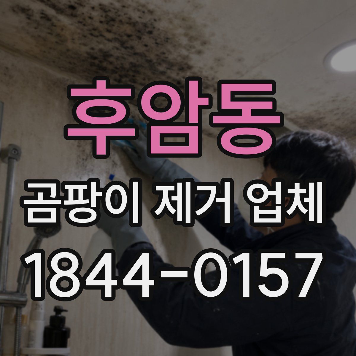 후암동 곰팡이 제거 업체