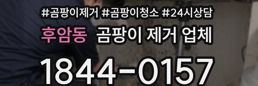 후암동 곰팡이 제거 업체