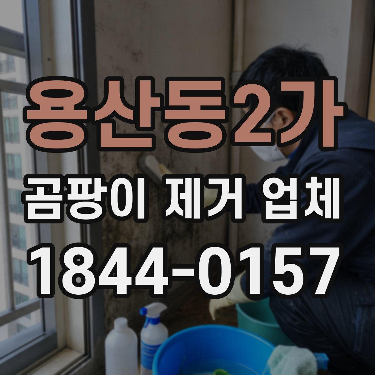 용산동2가 곰팡이 제거 업체
