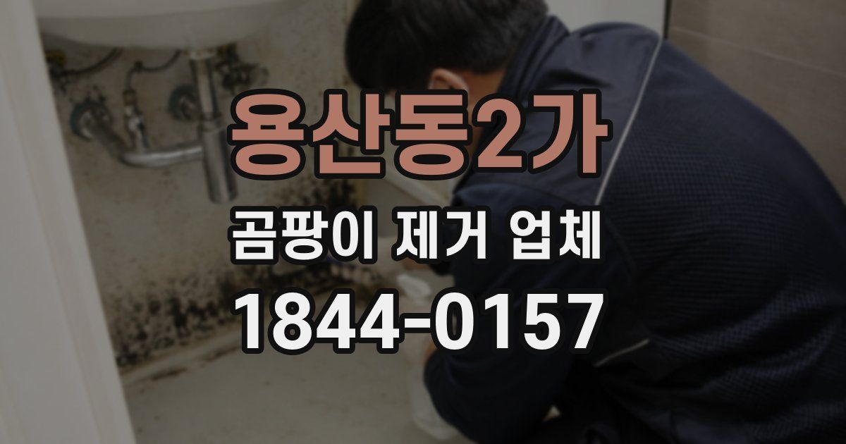 용산동2가 곰팡이 제거 업체