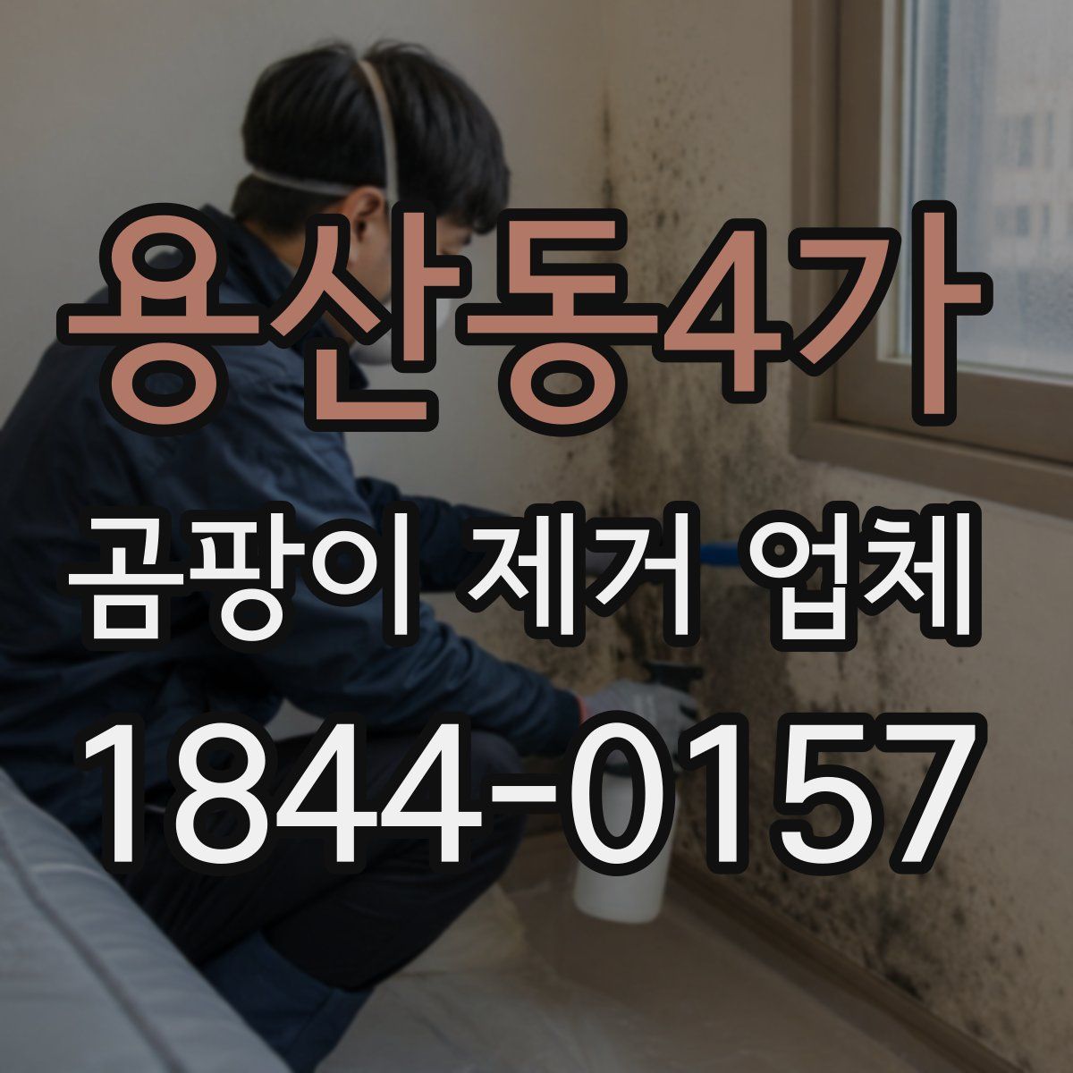 용산동4가 곰팡이 제거 업체