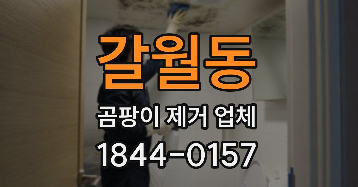 갈월동 곰팡이 제거 업체