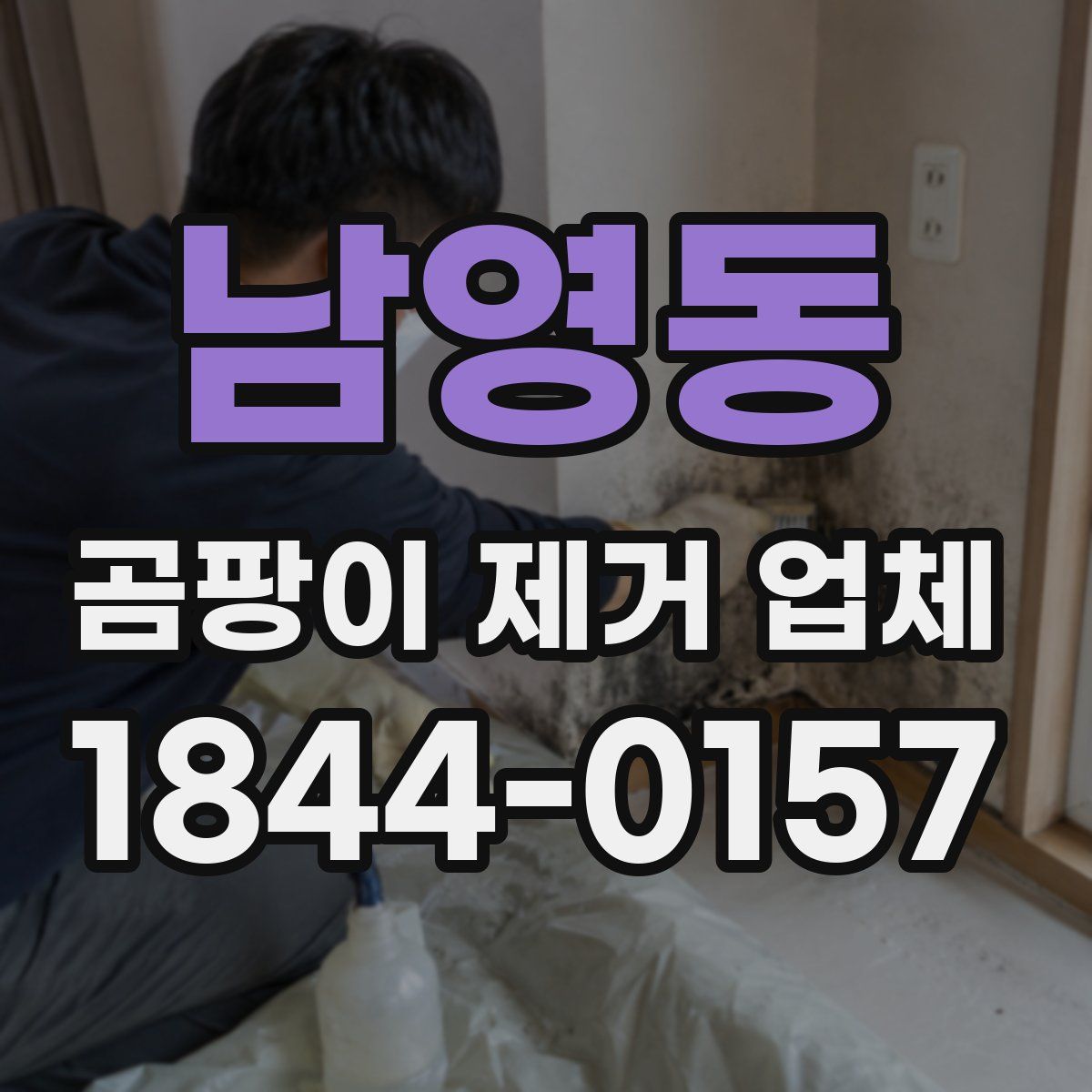 남영동 곰팡이 제거 업체