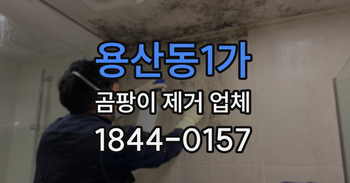 용산동1가 곰팡이 제거 업체