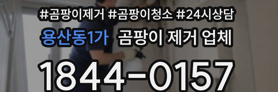 용산동1가 곰팡이 제거 업체