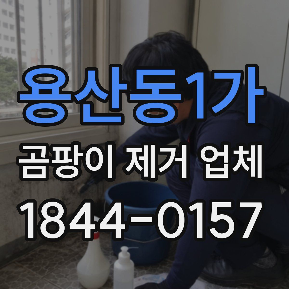 용산동1가 곰팡이 제거 업체