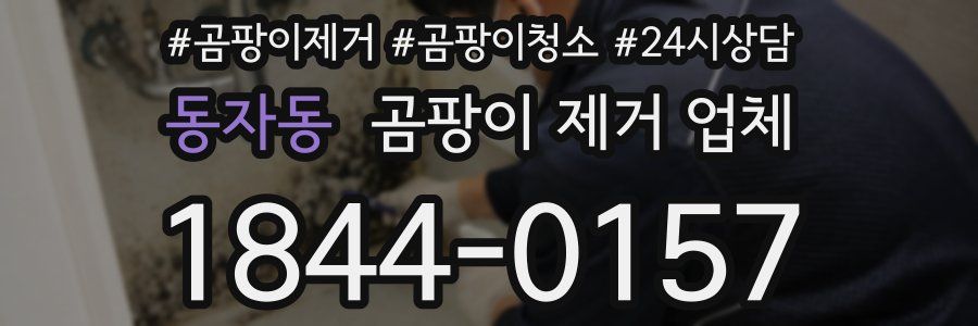 동자동 곰팡이 제거 업체