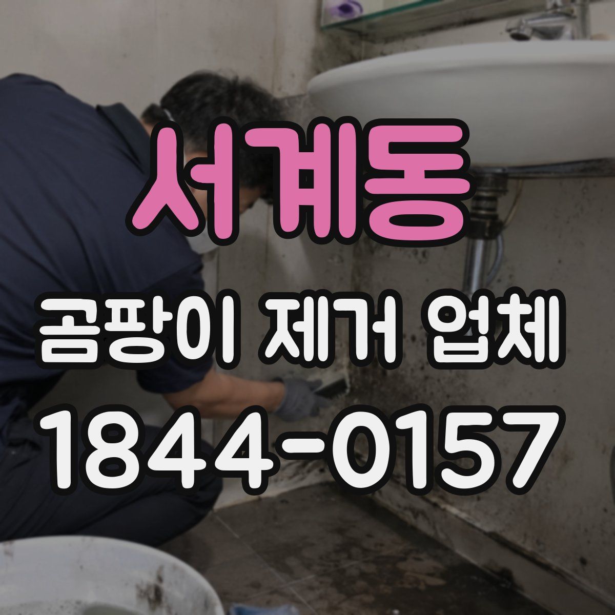 서계동 곰팡이 제거 업체