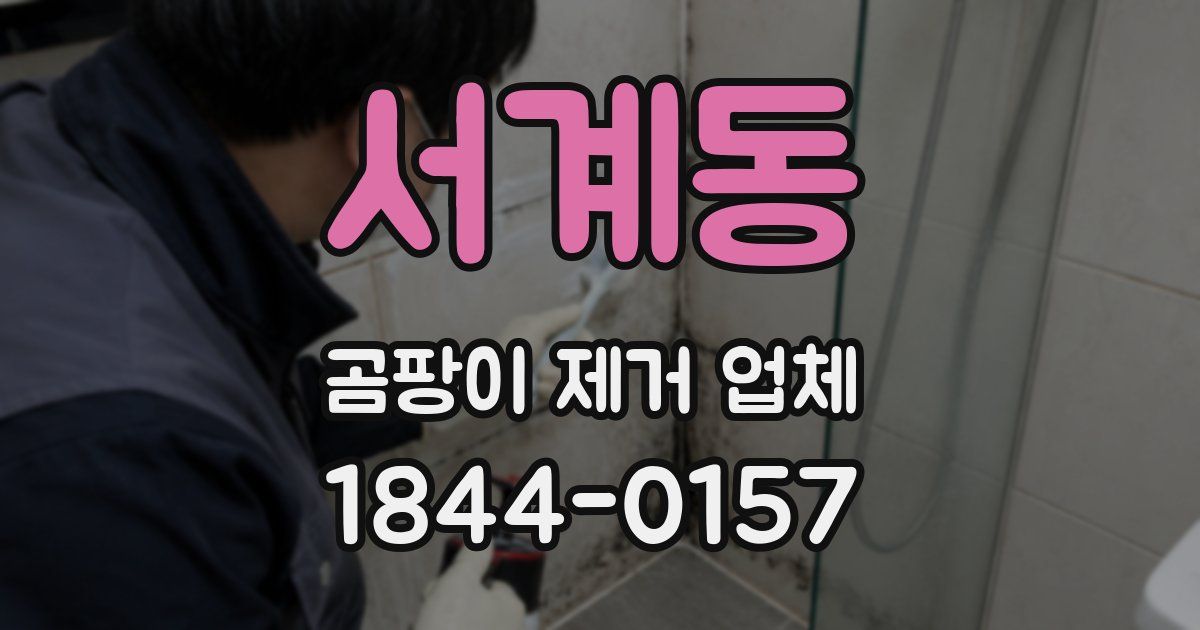 서계동 곰팡이 제거 업체