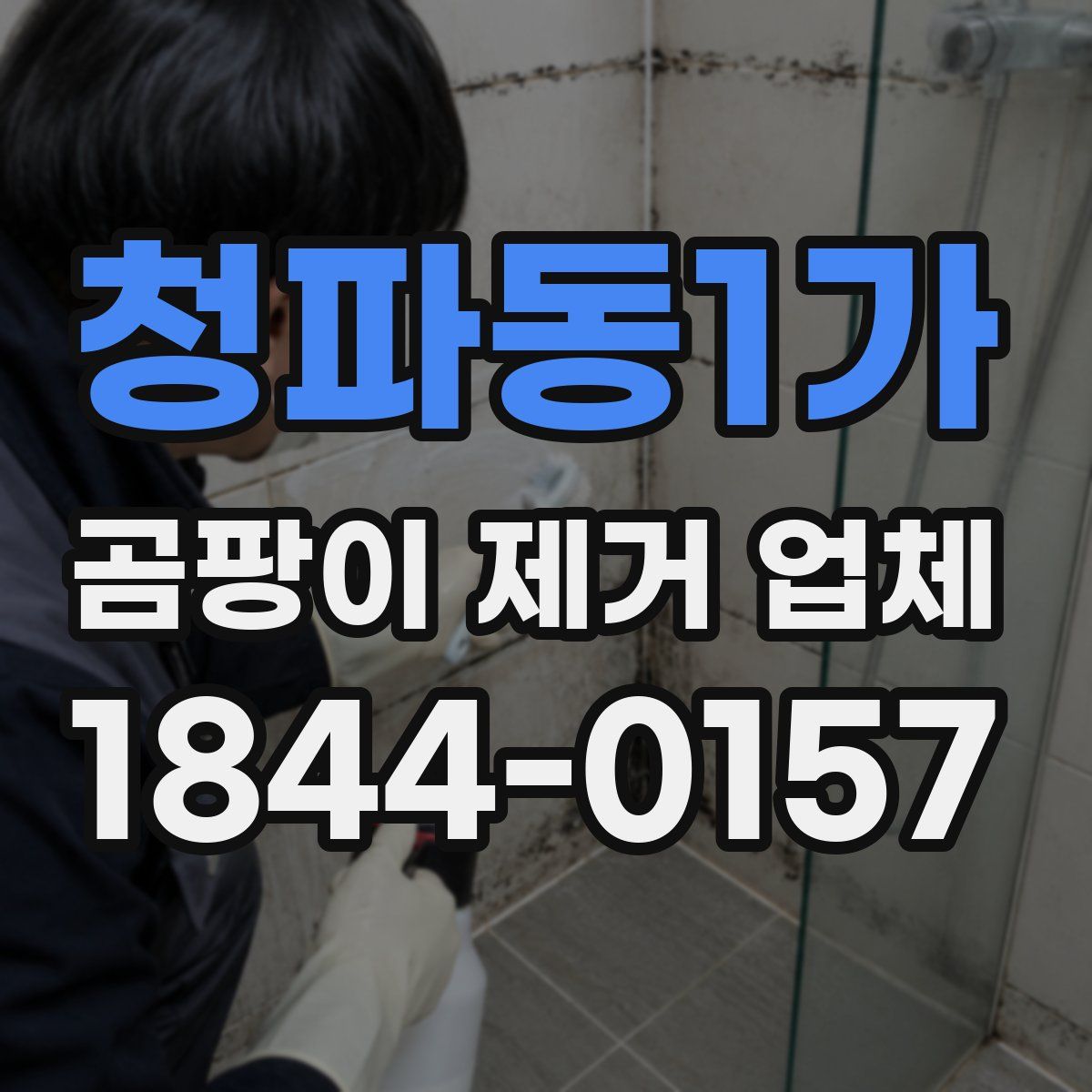 청파동1가 곰팡이 제거 업체