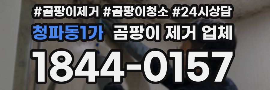 청파동1가 곰팡이 제거 업체