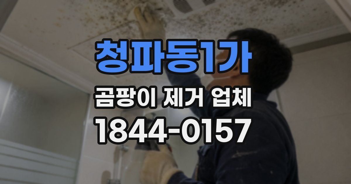 청파동1가 곰팡이 제거 업체