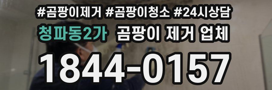 청파동2가 곰팡이 제거 업체