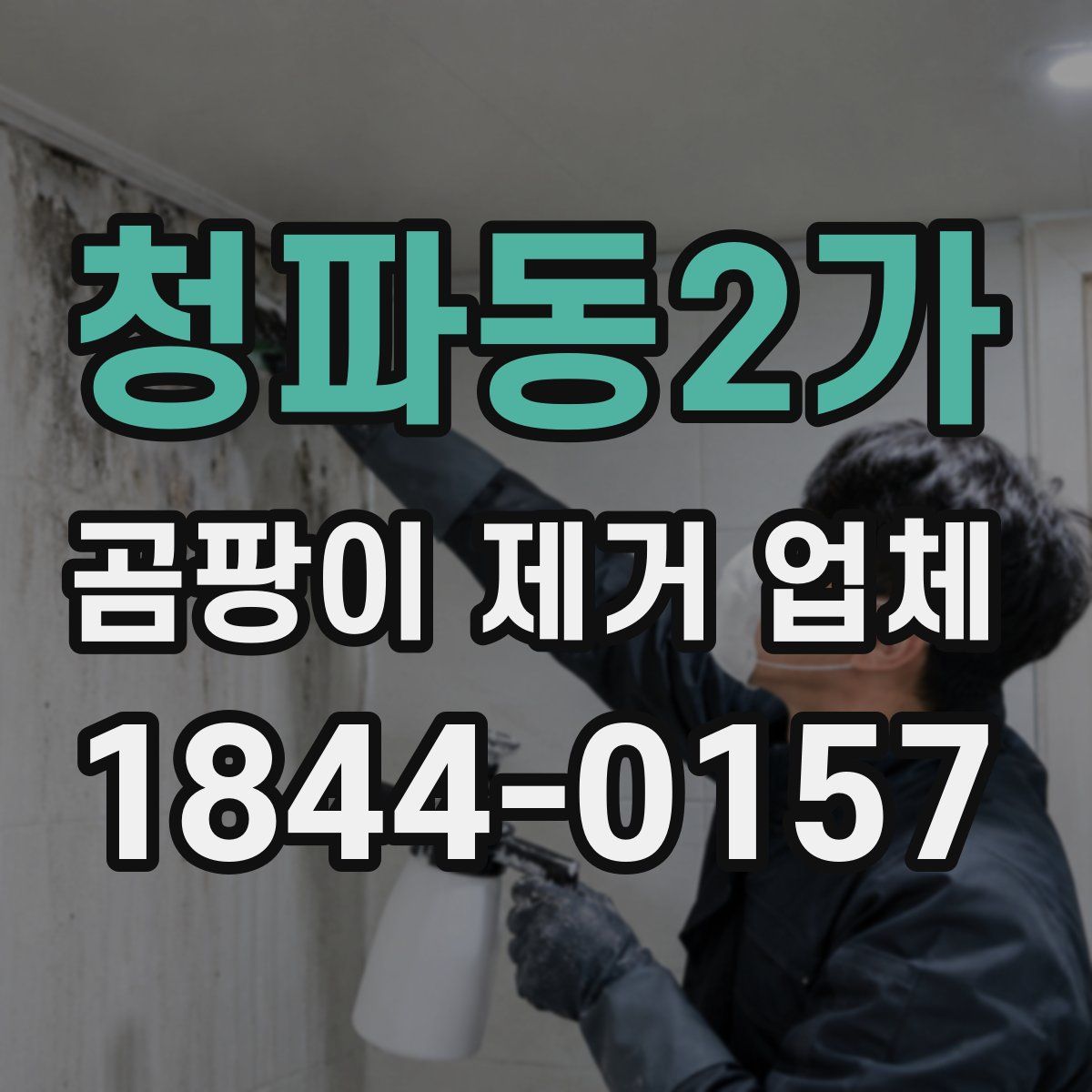 청파동2가 곰팡이 제거 업체