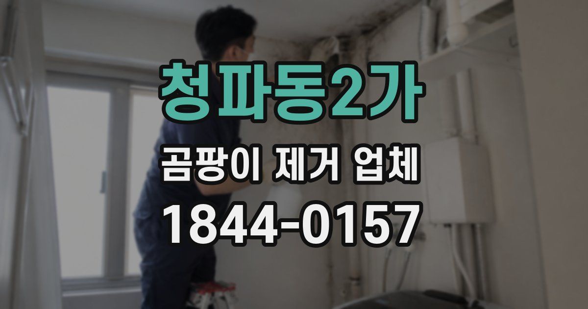 청파동2가 곰팡이 제거 업체
