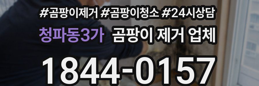 청파동3가 곰팡이 제거 업체