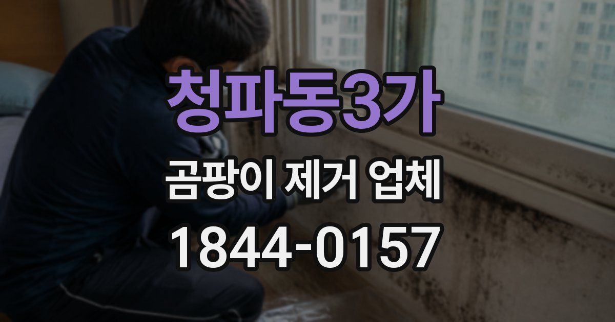 청파동3가 곰팡이 제거 업체