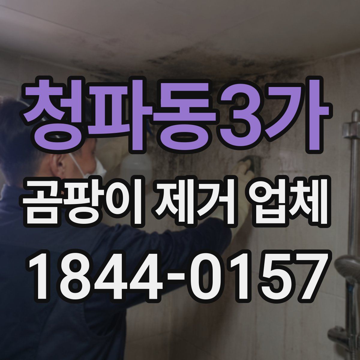 청파동3가 곰팡이 제거 업체