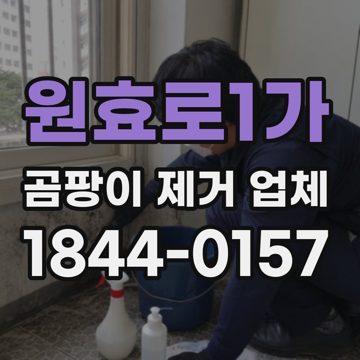 원효로1가 곰팡이 제거 업체 장마철 실내 습도 관리와 오염 예방