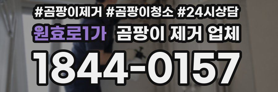 원효로1가 곰팡이 제거 업체