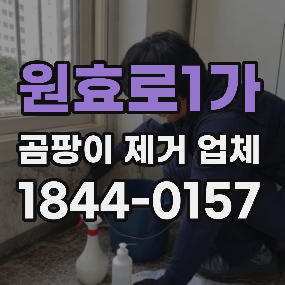 원효로1가 곰팡이 제거 업체