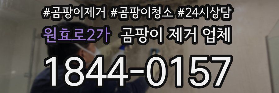 원효로2가 곰팡이 제거 업체