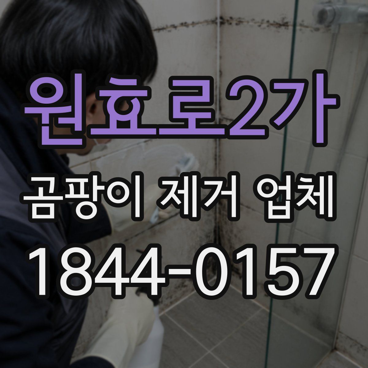 원효로2가 곰팡이 제거 업체