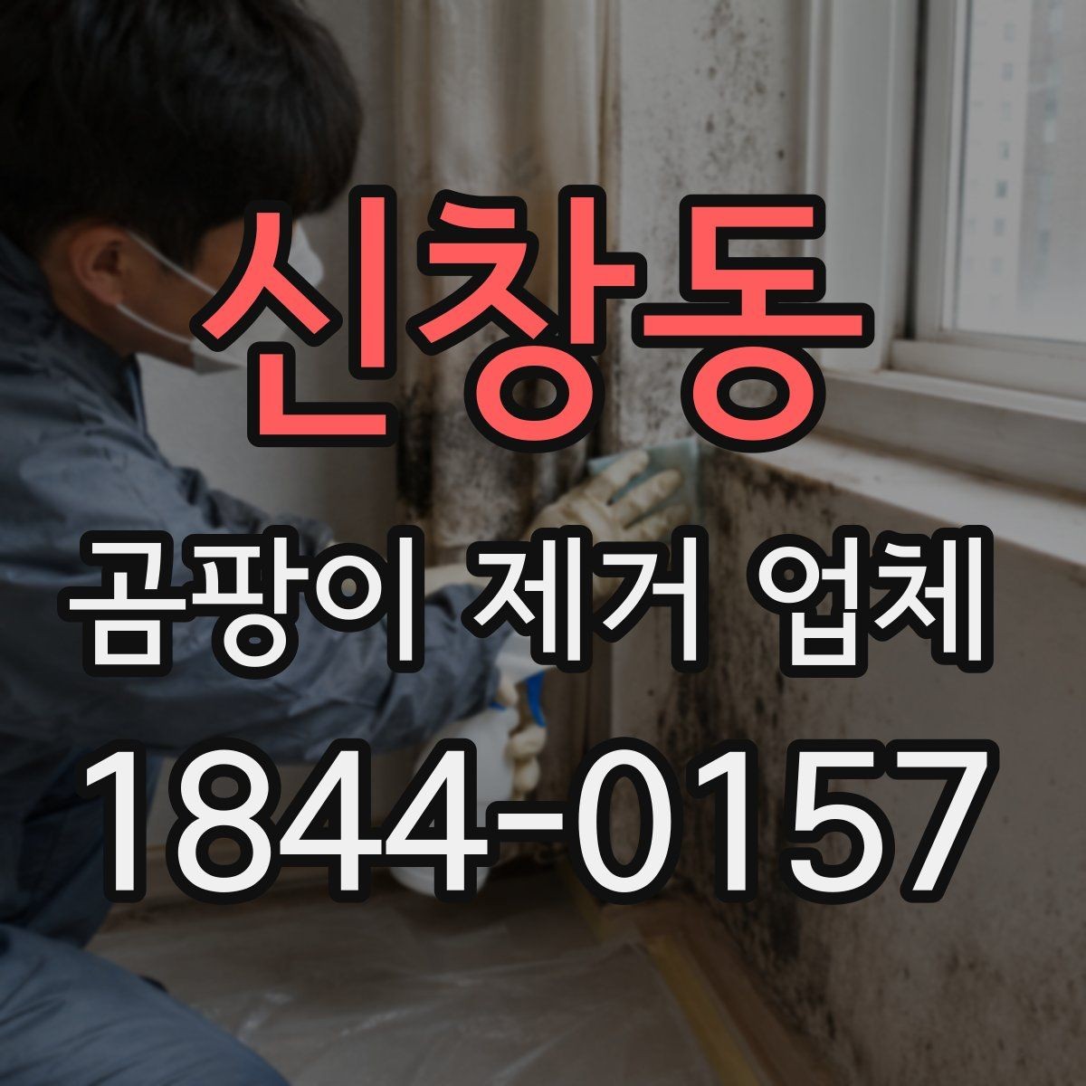 신창동 곰팡이 제거 업체 곰팡이 제거 후 재발 방지에 필요한 확인