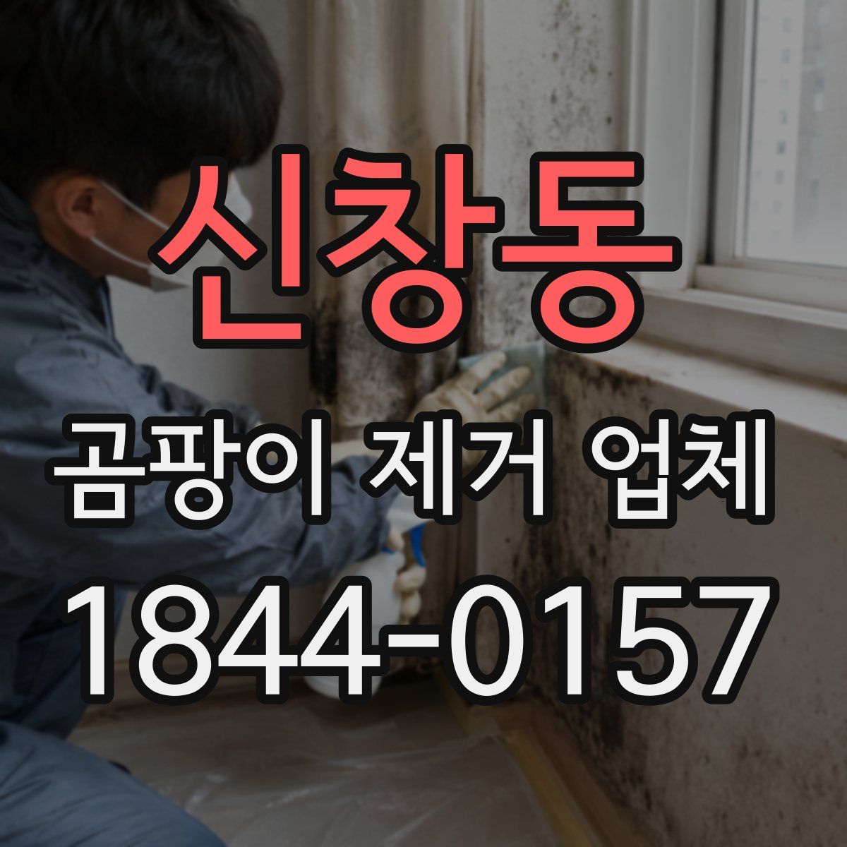 신창동 곰팡이 제거 업체