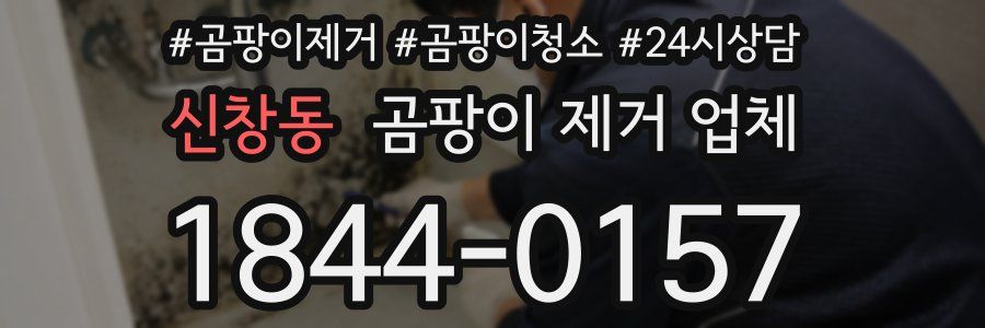 신창동 곰팡이 제거 업체