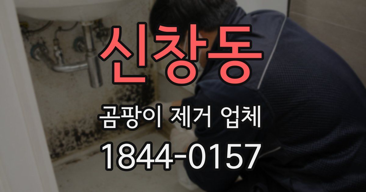 신창동 곰팡이 제거 업체