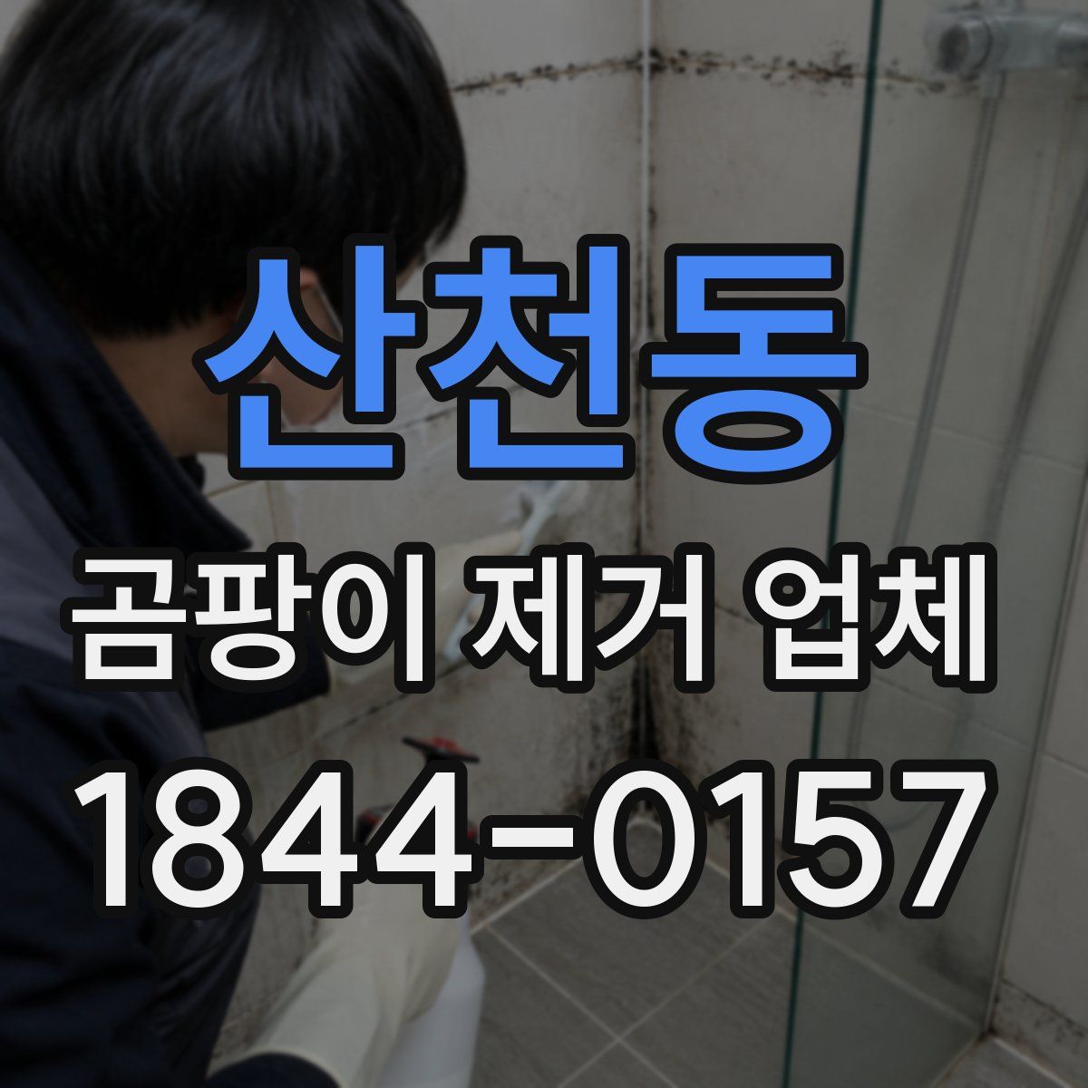 산천동 곰팡이 제거 업체