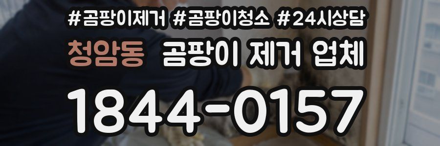 청암동 곰팡이 제거 업체